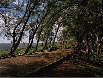 av成人影视:极速狂飙,在虚拟都市中体验拟真驾驶与电影级创作-2