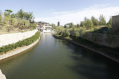 黄色软件app下载3.0.3oppo免费安装：OPPO设备专属优化，街头竞速新版本带来极致流畅驾驶体验