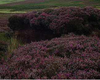 把坤坤踢到老师的句号里：荒诞校园跑酷新作引爆热议，创意物理玩法颠覆竞速体验-1