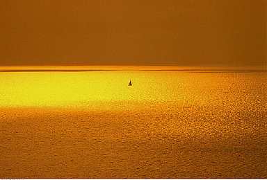 八重神子和丘丘人繁殖后代的网站：玩家创意无限，原神同人文化揭示游戏深度魅力-2