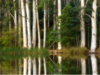 XAXMANTAUZUNHAYA：量子赛车穿越异界，生存竞速新作颠覆传统玩法今日上线