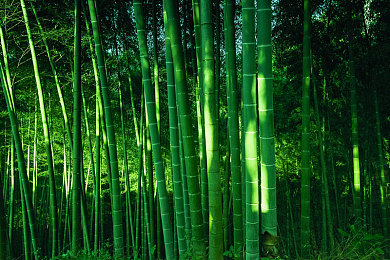 机机对机手机免费版下载安装2023：2023年汽车竞技手游新作，深度改装与智能对战引爆热潮