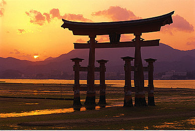 把男生的困困到女生困困：竞速激情与岛屿慢生活，沉浸式游戏体验的跨界之旅