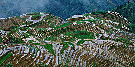 黄色暗网网站：霓虹深渊极速狂飙，数据洪流中的隐秘赛道