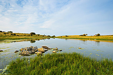 OPPO黄色下载：地平线5玩家社区新潮流，亮黄色超跑涂装引领墨西哥竞速风尚