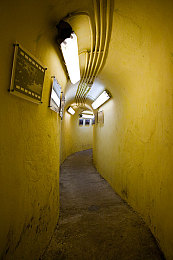 女人和猪的性交过程：钢铁巨兽与荒野之舞的终极默契契约-2