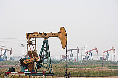 男生女生羞羞羞的软件：心跳竞速场，双人驾驶共赴虚拟竞速与情感社交之旅