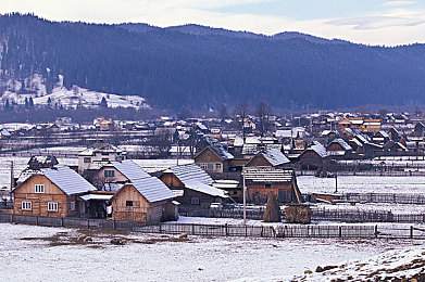 男通女APP：极速情缘，机械与羁绊的双轨竞逐-2