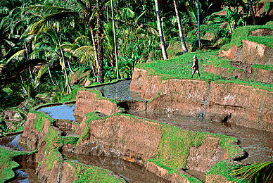 禁止下载十大软仵：极速狂飙都市风云攻略,安全游戏指南与同款佳作推荐