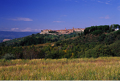 吊逼软件：硬核改装模拟，挑战物理法则的街头赛车新体验-2