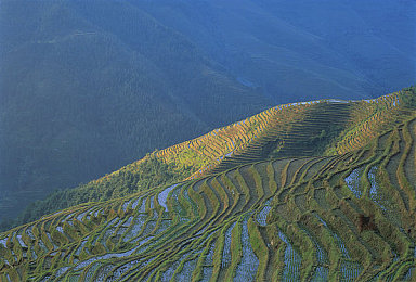 黄色软件3.0.3.0.3：代码狂飙，霓虹深渊中的终极权限竞速