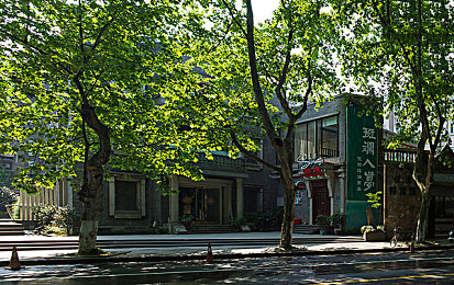 兽人18+手游：狂野引擎驱动钢铁猛兽，废土竞速引爆血脉对决-1