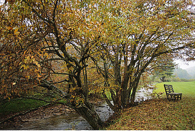 男人把坤坤插进女人的坤坤里：双人协同极速，动态隧道穿梭挑战-2