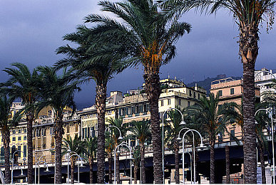 十大黄色软件oppo:霓虹未来城,疾驰幻光赛道上的数据风暴-4