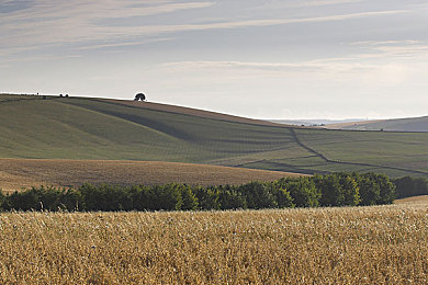 中国女人毛茸茸黑茸茸：东方魅影疾驰赛道，玄绒车手柔刚哲学颠覆竞速体验