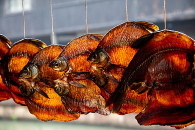 乌克兰13一14娇小摘花：极限竞速地平线新DLC上线，驾驶经典东欧小车收集花朵探索风情-2