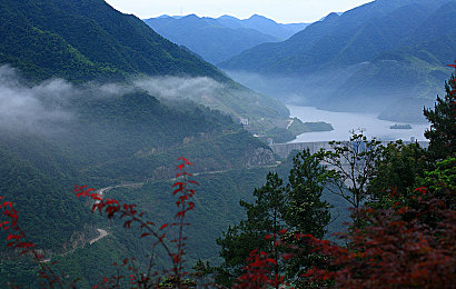 黄色软件下载oppo：OPPO旗舰屏幕加持，狂野飙车9极致色彩与操控全解析