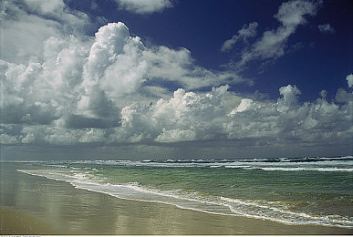 男女差差差aPP：竞速新纪元，双性驾驶策略颠覆传统赛道体验