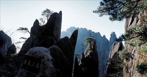 男生和女生在一起差差的APP：双人协同驾驶实验室，差异协作征服赛道挑战-2