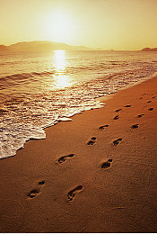 大象导航:驾驭钢铁猛犸,征服荒野的终极硬核驾驶之旅-2