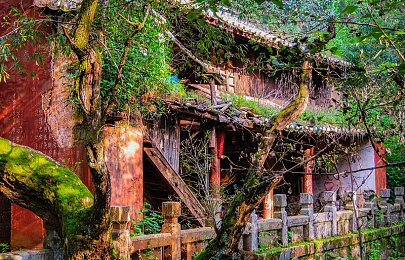 我鸡巴软件：硬核竞速新作登场，极致拟真体验征服赛道挑战者