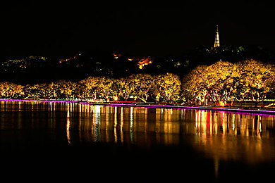 女生玩男生的坤坤：竞速新趋势，地平线5女性玩家选择男性角色打破刻板印象