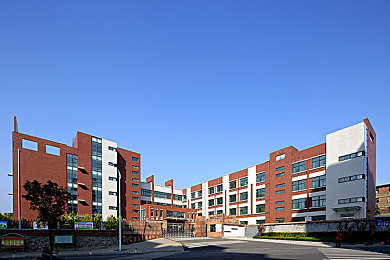 日本卡一卡二卡三：极速谋略，东京赛道上的攻防交响诗