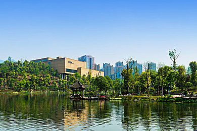 双人拔萝卜：拉力赛车的田园协作，体验双人驾驶的默契之旅