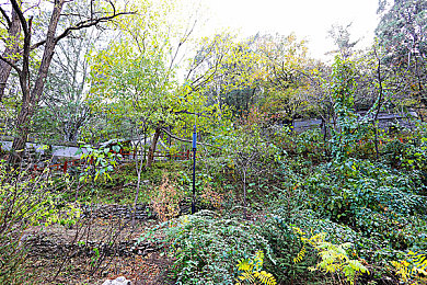 福利网站导航黄色：《地平线：霓虹都市》上线全新动态路径系统，颠覆开放世界探索体验