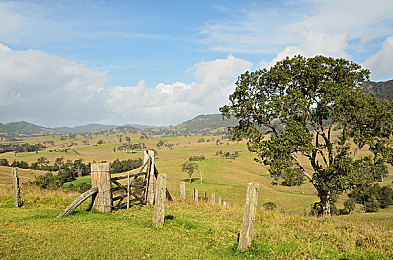 五月天色婷婷丁香：暮色驰骋墨西哥，邂逅地平线5的浪漫花海之旅