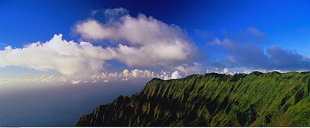 免费黄色app：柠檬黄超跑席卷街头，开放世界竞速新作今日上线