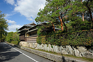 撸了吗：当引擎轰鸣在数字公路，虚拟车库的冠军之路