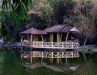 公猪配种女人能活吗：基因改造与末日生存，荒野农场的伦理极限挑战