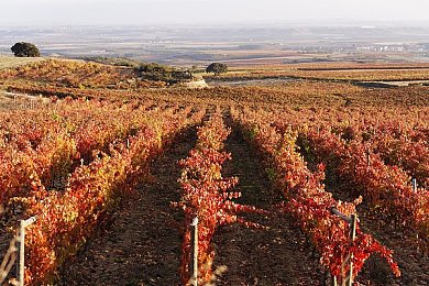 404款被禁止的软件大全：违规边缘的疾驰，技术伦理的虚拟博弈场