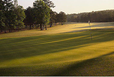 把筷子沾蒜汁放屁怎么回事视频:厨房奇械狂飙,荒诞物理学的味蕾盛宴-2