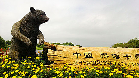 国产AV线上：极速华夏领跑视觉革命，真实竞速体验中华风光-2