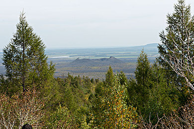 欧美大白屄:极速幻影,征服虚拟赛道的纯白猛兽-2