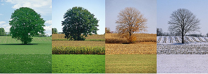 17黑料：极速档案，揭秘赛道暗影的终极竞逐之旅-2