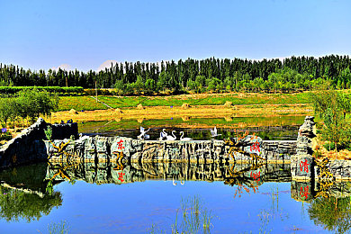 不良软件下载入口:极速狂飙的暗面,数字陷阱与安全赛道的终极对决-3