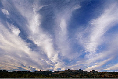 91黑科：代码融合实验室，破解未来赛道之谜