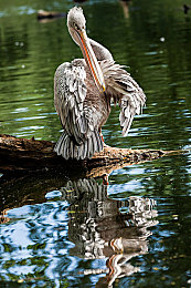 老师让我吃他奶：教练黑话引爆玩家社区，驾驶教父以荒诞教学诠释硬核驾考