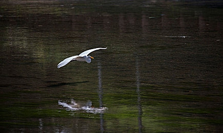 没穿内衣的女人软件：赛博朋克2077年惊现非法软件走私，改装座驾上演终极都市追逐战