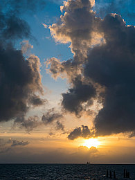 黄色app 3.03免费：霓虹都市，心跳竞速，风与引擎的街头共鸣-3