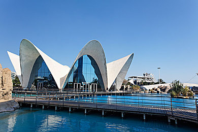 香蕉插入桃子里：甜蜜冲刺与几何隧道的精准之舞-2