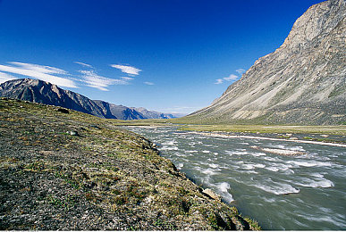 黄色视频OPPO：极速幻影，流光赛道上的视觉竞速艺术
