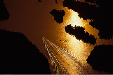 黄色软件下载o p po3.3.3：街头幻影，极限改装与速度的终极交响诗篇