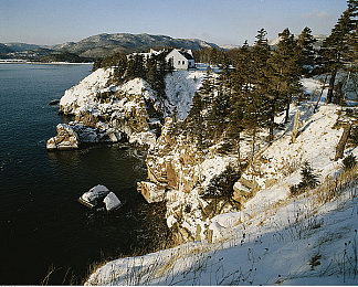 火影18禁动漫：竞速新体验，究极风暴中的忍者驾驶艺术全解析