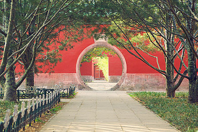 火影忍者18加手游：疾速结印，驰骋赛道，体验全新竞速对决