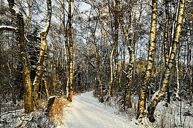 男女生拔萝卜：泥泞征途，合力牵引竞速