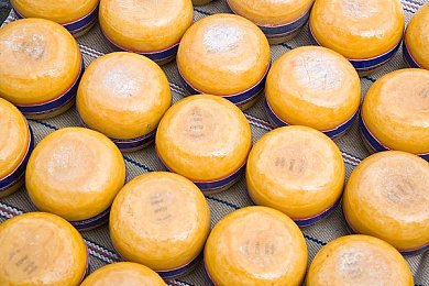 中文1区2区：霓虹都市与迷雾山城的终极竞速对决-1